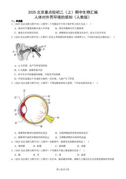 2025北京重点校初二（上）期中生物汇编：人体对外界环境的感知（人教版）-答案