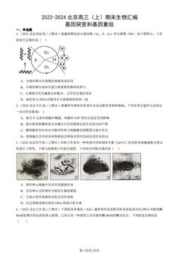 2022-2024北京高三（上）期末生物汇编：基因突变和基因重组-答案