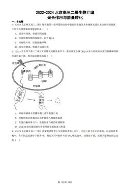 2022-2024北京高三二模生物汇编：光合作用与能量转化-答案