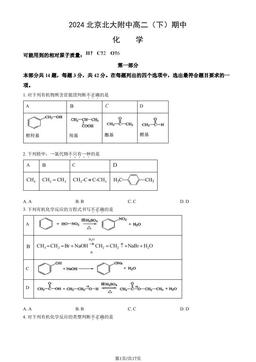 2024北京北大附中高二（下）期中化学（教师版）-答案