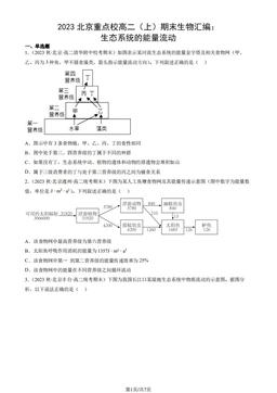 2023北京重点校高二（上）期末生物汇编：生态系统的能量流动-答案