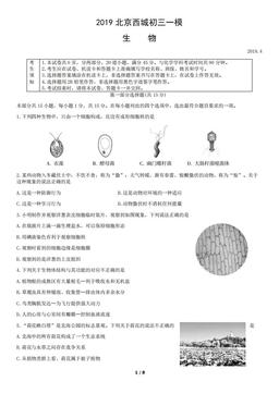 2019北京西城初三一模生物（教师版）-答案