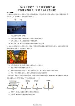 2025北京初二（上）期末物理汇编：光现象章节综合（北师大版）（选择题）-答案