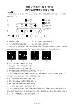 2023北京高三一模生物汇编：基因和染色体的关系章节综合-答案