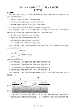 2022-2024北京高三（上）期末生物汇编：生态工程-答案