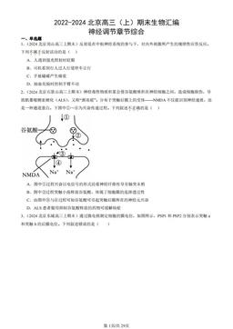 2022-2024北京高三（上）期末生物汇编：神经调节章节综合-答案
