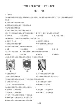 2022北京顺义初一（下）期末生物（教师版）-答案