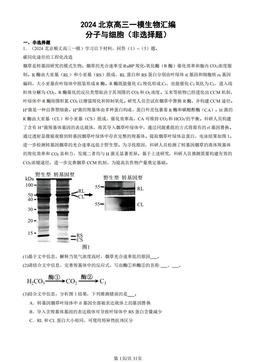 2024北京高三一模生物汇编：分子与细胞（非选择题）-答案