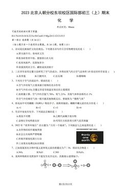 2023北京人朝分校东坝校区国际部初三（上）期末化学（教师版）-答案