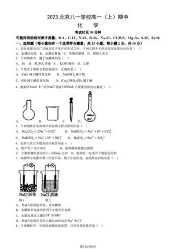 2023北京八一学校高一（上）期中化学（教师版）-答案