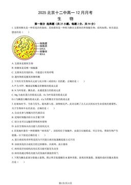 2025北京十二中高一12月月考生物（教师版）-答案