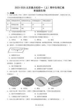 2023-2025北京重点校初一（上）期中生物汇编：单细胞生物-答案