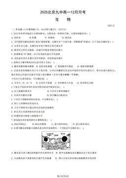 2025北京九中高一12月月考生物（教师版）-答案
