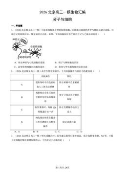 2026北京高三一模生物汇编：分子与细胞-答案