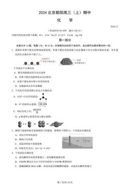 2024北京朝阳高三（上）期中化学（教师版）-试题
