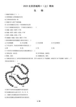 2022北京西城高一（上）期末生物（教师版）-答案
