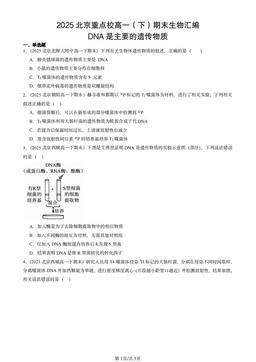 2025北京重点校高一（下）期末生物汇编：DNA是主要的遗传物质-答案
