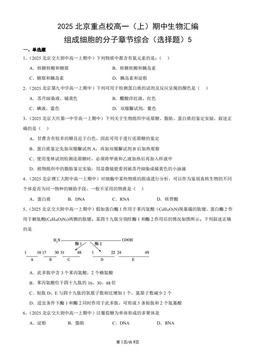 2025北京重点校高一（上）期中生物汇编：组成细胞的分子章节综合（选择题）5-答案