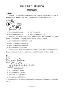 2026北京高三一模生物汇编：稳态与调节-答案