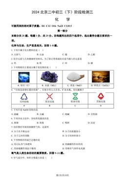 2024北京二中初三（下）阶段检测三化学（教师版）-答案