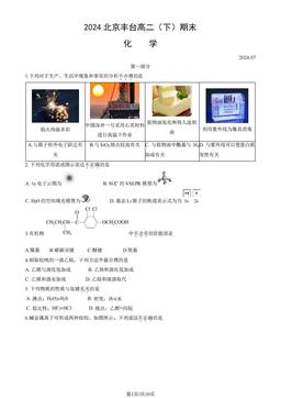 2024北京丰台高二（下）期末化学（教师版）-答案