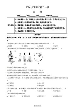2024北京顺义初二一模生物（教师版）-答案