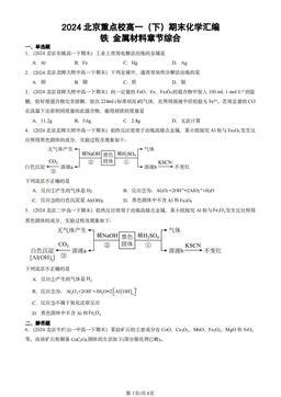 2024北京重点校高一（下）期末化学汇编：铁 金属材料章节综合-答案
