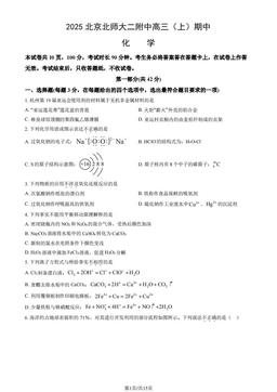 2025北京北师大二附中高三（上）期中化学（教师版）-答案