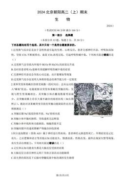 2024北京朝阳高二（上）期末生物（教师版）-答案