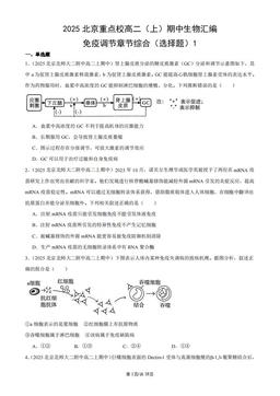 2025北京重点校高二（上）期中生物汇编：免疫调节章节综合（选择题）1-答案
