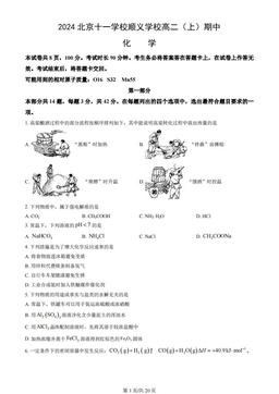 2024北京十一学校顺义学校高二（上）期中化学（教师版）