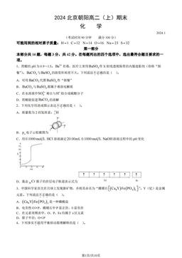 2024北京朝阳高二（上）期末化学（教师版）-答案