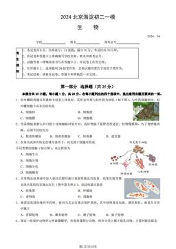 2024北京海淀初二一模生物（教师版）-答案