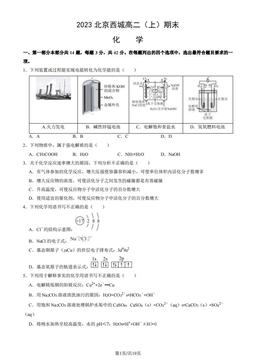 2023北京西城高二（上）期末化学（教师版）-答案