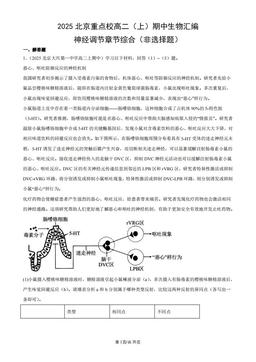 2025北京重点校高二（上）期中生物汇编：神经调节章节综合（非选择题）-答案