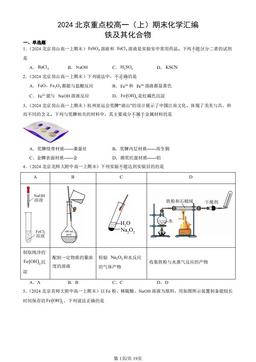 2024北京重点校高一（上）期末化学汇编：铁及其化合物-答案