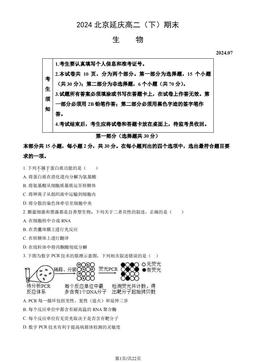2024北京延庆高二（下）期末生物（教师版）-答案