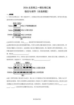 2026北京高三一模生物汇编：稳态与调节（非选择题）-答案