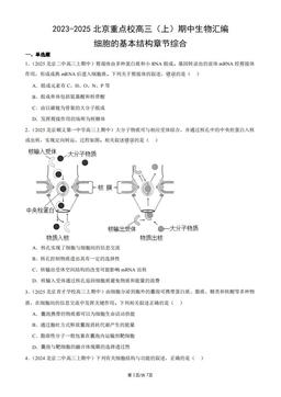 2023-2025北京重点校高三（上）期中生物汇编：细胞的基本结构章节综合-答案