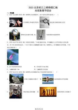 2023北京初三二模物理汇编：光现象章节综合-答案