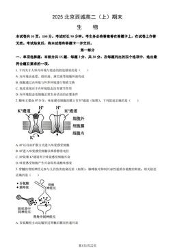 2025北京西城高二（上）期末生物（教师版）-答案
