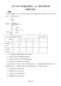 2023-2025北京重点校高三（上）期中生物汇编：植物生长素-答案