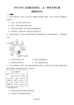 2023-2025北京重点校高三（上）期中生物汇编：细胞的分化-答案