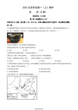 2023北京丰台高一（上）期中历史（A卷）（教师版）-答案
