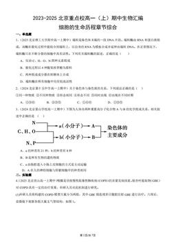 2023-2025北京重点校高一（上）期中生物汇编：细胞的生命历程章节综合-答案
