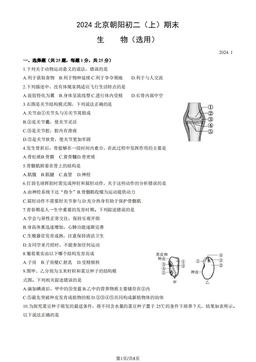 2024北京朝阳初二（上）期末生物（教师版）-答案