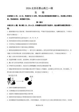 2026北京石景山高三一模生物（教师版）-答案