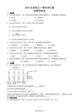 2024北京初三一模化学汇编：盐章节综合-答案