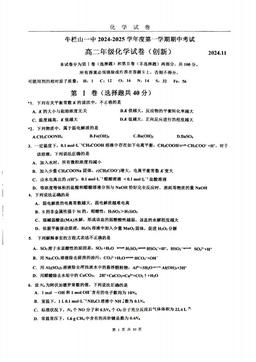 2024北京牛栏山一中高二（上）期中化学（创新班）-答案