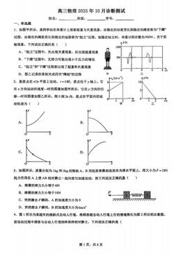 2025北京陈经纶中学高三10月月考物理-试题
